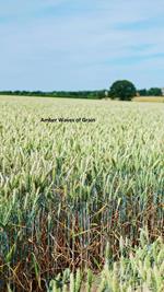 Amber Waves of Grain