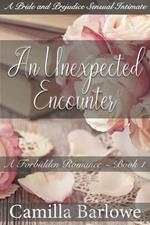 An Unexpected Encounter:A Pride and Prejudice Sensual Intimate