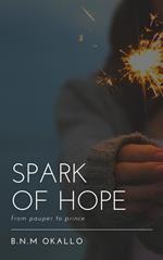 Spark Of Hope