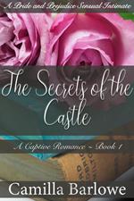 The Secrets of the Castle (Darcy Ever After): A Pride and Prejudice Sensual Intimate