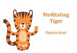 Meditating Tiger -Children Illustration Book