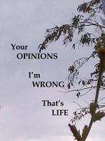 Your Opinions I'm Wrong That's Life