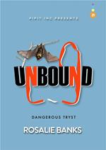 Unbound #29 - Dangerous Tryst
