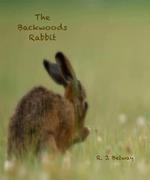 The Backwoods Rabbit