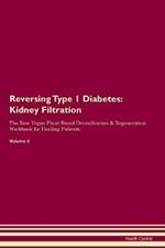 Reversing Type 1 Diabetes: Kidney Filtration The Raw Vegan Plant-Based Detoxification & Regeneration Workbook for Healing Patients. Volume 5