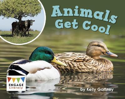 Animals Get Cool - Kelly Gaffney - cover