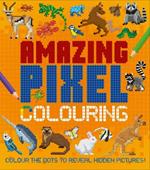 Amazing Pixel Colouring: Colour the Dots to Reveal Hidden Pictures!