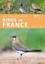 Birds of France