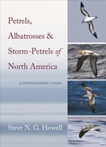 Petrels, Albatrosses, and Storm-Petrels of North America