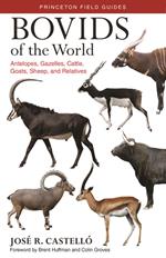 Bovids of the World