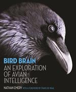 Bird Brain