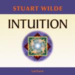 Intuition