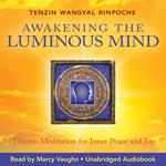 Awakening The Luminous Mind