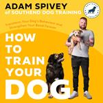 How to Train Your Dog