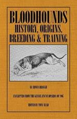 Bloodhounds: History - Origins - Breeding - Training