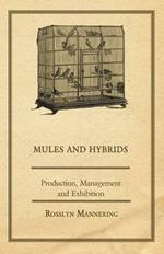 Mules and Hybrids - Production, Management, & Exhibition