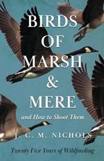 Birds of Marsh and Mere and How to Shoot Them - Twenty Five Years of Wildfowling