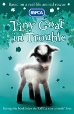 Tiny Goat in Trouble