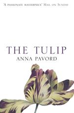 The Tulip