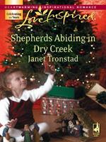 Shepherds Abiding in Dry Creek (Dry Creek, Book 9) (Mills & Boon Love Inspired)