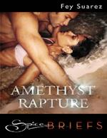 Amethyst Rapture (Mills & Boon Spice Briefs)