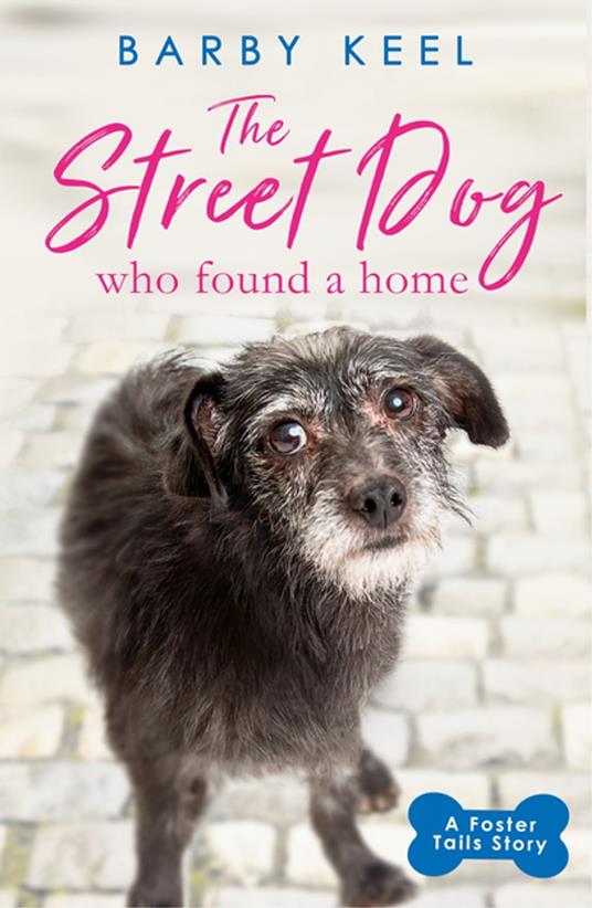 The Street Dog Who Found a Home