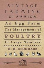 An Egg Farm - The Management of Poultry in Large Numbers