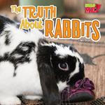 Truth about Rabbits, The