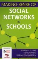 Making Sense of Social Networks in Schools