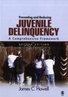 Preventing and Reducing Juvenile Delinquency: A Comprehensive Framework