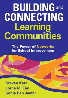 Building and Connecting Learning Communities: The Power of Networks for School Improvement - cover