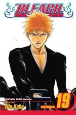 Bleach, Vol. 19