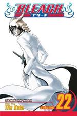 Bleach, Vol. 22