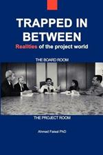 Trapped in Between: Realities of the Project World