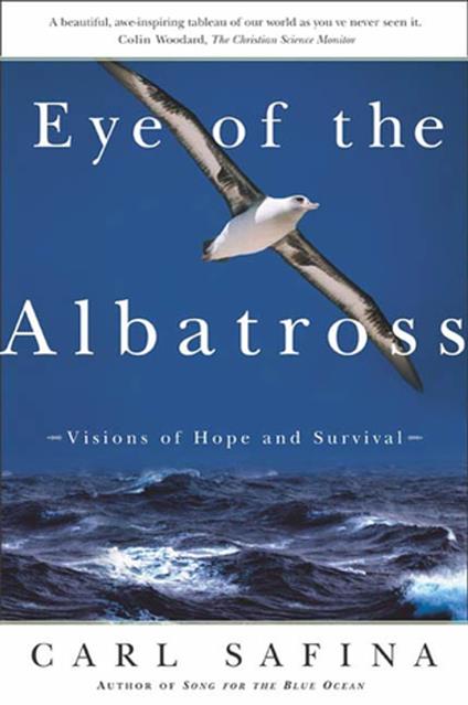 Eye of the Albatross