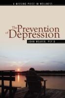 The Prevention of Depression: The Missing Piece in Wellness