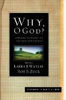 Why, O God?: Suffering and Disability in the Bible and the Church