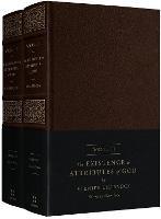 The Existence and Attributes of God: Updated and Unabridged (2-Volume Set)