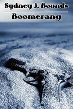 Boomerang: A Crime Novel