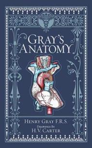 Gray's Anatomy (Barnes & Noble Collectible Editions)