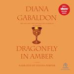 Dragonfly in Amber