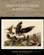 Bird Stories from Burroughs