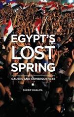 Egypt's Lost Spring: Causes and Consequences