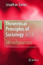 Theoretical Principles of Sociology, Volume 3: Mesodynamics