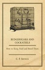Budgerigars & Cockatiels: How To Keep, Feed, And Breed Them