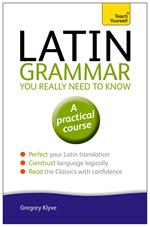 Latin Grammar You Really Need to Know: Teach Yourself