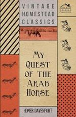 My Quest Of The Arab Horse