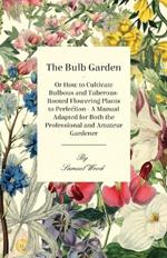 The Bulb Garden - Or How To Cultivate Bulbous And Tuberous-Rooted Flowering Plants To Perfection - A Manual Adapted For Both The Professional And Amateur Gardener