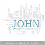 NIV Bible: Gospel of John