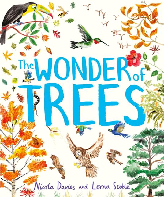 The Wonder of Trees - Nicola Davies,Lorna Scobie - ebook